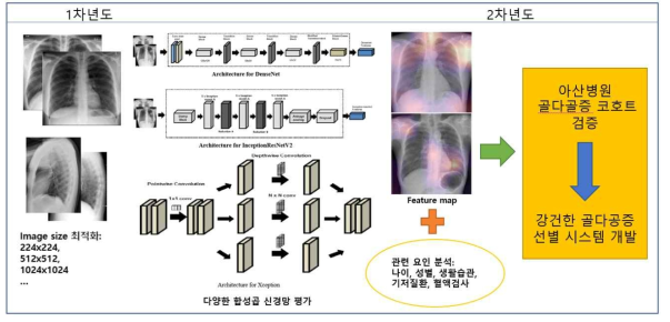 연차별 연구 내용