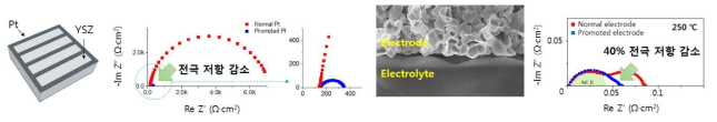 (좌) Pt 박막에 적용한 촉진제 선행연구 결과, (우) 실제 Pt전극에 적용한 촉진제 선행연구 결과