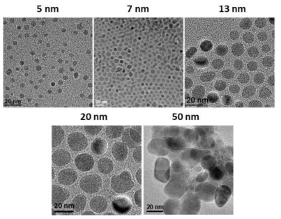 다양한 크기의 FeCo 나노입자 투과전자현미경 사진