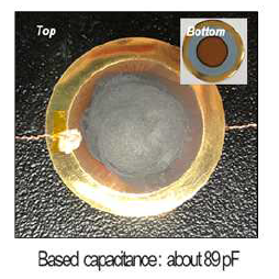 엣지부분산화 그래핀을 코팅한 양극산화알루미늄 센서의 사진 (top), inset (bottom)