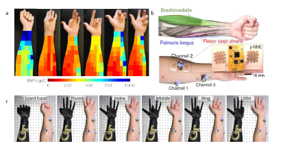 a) 이상적인 센서 부착 위치를 확인하기 위하여 주먹, 엄지/검지/중지/약지/새끼 손가락을 접는 제스쳐를 취했을 때 RMS 신호의 강도를 보여주는 EMG mapping 데이터 b) palmaris longus, brachioradialis, flexor carpi ulnaris의 세가지 근육을 타겟으로 센서의 부착 위치를 보여주는 도식도와 실물 사진 c) 세개의 센서에서 전송되는 EMG를 통해 조정되는 로봇손을 보여주는 사진