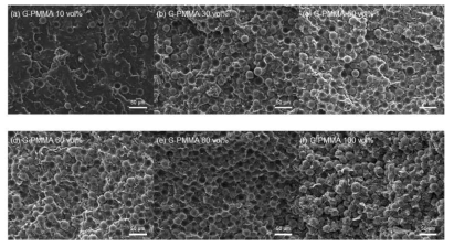 EVA 매트릭스 기반 엣지부분산화그래핀-PMMA 복합체의 주사전자현미경 분석 이미지