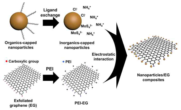 정전기적 접합에 의한 나노입자/그래핀 복합체 모식도
