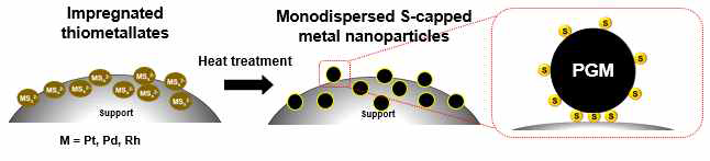 함침 공정을 통한 백금족 원소 기반 thiometllate 전구체와 엣지 부분산화 그래핀 복합체 합성 모식도