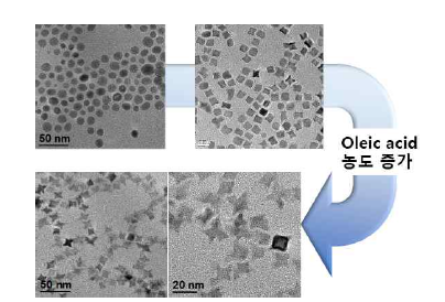 Oleic acid 농도 증가에 따른 FeCo 나노구조체 형상 변화