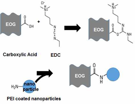 엣지 부분산화 그래핀(EOG)-나노입자 접합 공정 모식도