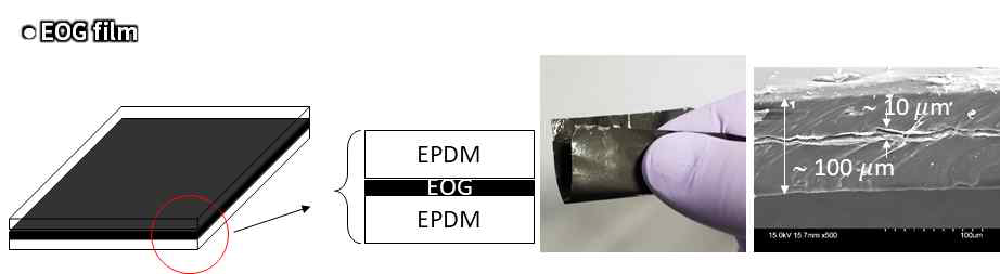 EOG 필름 구조 및 SEM 사진