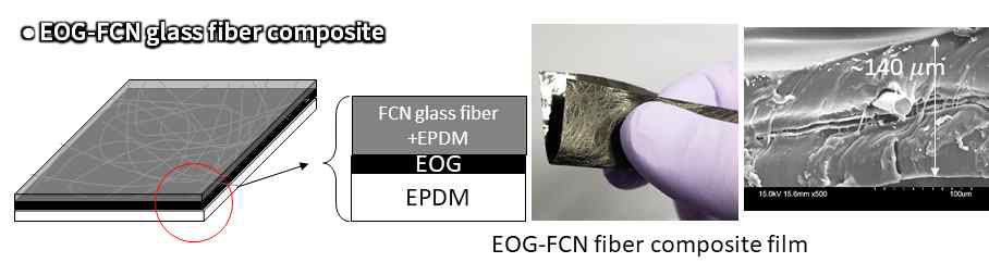 EOG-FCN 복합체의 구조 및 SEM 사진