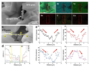 a) N-type Bi-Te-Se분말내부에 분산된 EOG Bridge, b)-e) Line EDS 분석을 통한 bridge 형상의 원소 조성 확인 결과. Bridge 형상 구간에서 탄소 비율 증가 및 타 원소 감소 확인