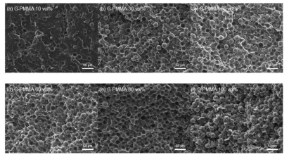 EVA 매트릭스 기반 엣지부분산화그래핀-PMMA 복합체의 주사전자현미경 분석 이미지