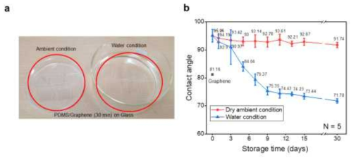 기능화된 그래핀 기판의 상온과 물속에서 장기간 보관 안정성 테스트 data