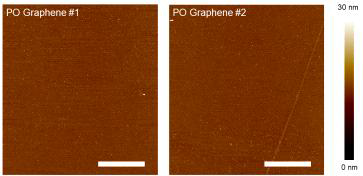 PDMS 스템핑 이후 그래핀 표면의 AFM images