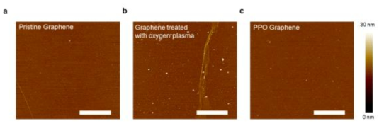 PDMS 스템핑 이후 산소플라즈마 처리 효과를 확인하기위한 AFM image