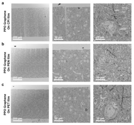 친수성그래핀을 다양한 기판 (a.CPI, b.PEN and c.PET film) 위에 제작하여 생체 시료를 Imaging 한 data