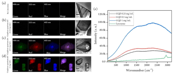 GQD를 농도별로 첨가한 단백질 결정과 첨가하지 않은 단백질 결정의 confocal scanning microscope 이미지. (a)GQD를 첨가하지 않은 단백질 결정, (b)GQD 0.25 mg/mL, (c)0.5 mg/mL, (d)1 mg/mL 첨가한 결정. (e)농도별로 GQD를 첨가한 결정의 Raman spectra 측정 그래프