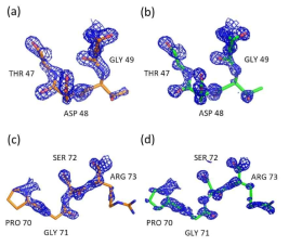 T47-G49번 잔기, P70-R73번 잔기 부분의 전자 밀도 맵. GQD가 첨가된 T47-G49번 잔기(a), P70-R73 잔기(c) 부분의 전자 밀도 맵. GQD가 첨가되지 않은 T47-G49번 잔기(b), P70-R73번 잔기(d) 부분의 전자 밀도 맵