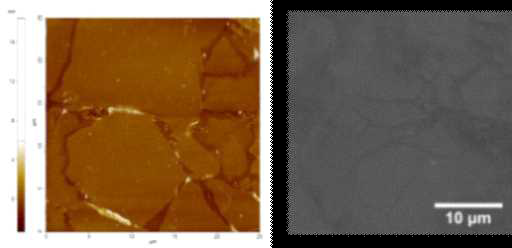 Langmuir Blodgett 방법에 의해 형성된 단층의 산화그래핀 필름의 AFM 및 SEM 분석 결과