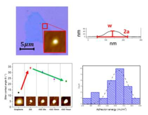 그래핀 수포 구조를 이용한 접착력 측정 결과