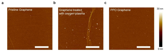 PDMS 스템핑 이후 산소플라즈마 처리 효과를 확인하기위한 AFM image