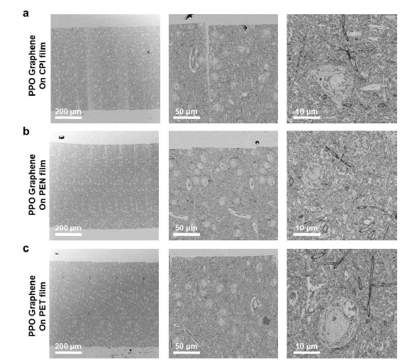 친수성그래핀을 다양한 기판 (a.CPI, b.PEN and c.PET film) 위에 제작하여 생체 시료를 Imaging 한 data