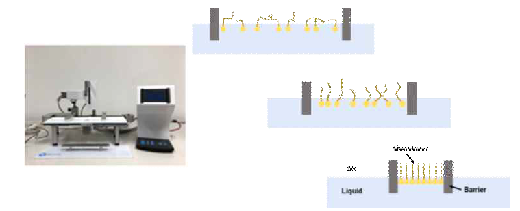 Langmuir-Blodgett 방법을 이용한 단일층의 산화그래핀 제작 모식도