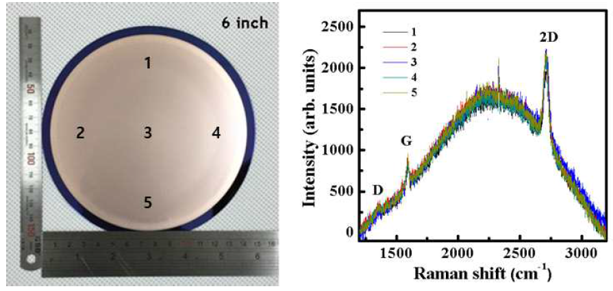 Cu가 증착된 6인치 실리콘웨이퍼와 합성된 그래핀 라만데이터