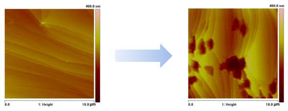 산 반응 전후의 그래핀/구리 샘플의 AFM 맵핑 결과
