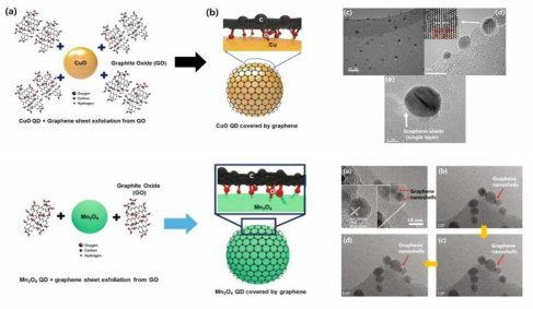 산화구리(상)‧망간(하) 양자점의 산소 원자와 그래핀의 결함이 화학적 결합으로 핵-껍질 화 되는 과정(왼쪽). 투과전자현미경 (TEM)을 통한 산화구리(상)‧망간(하) 양자점과 그래핀이 안정적으로 결합 된 것을 확인(오른쪽)