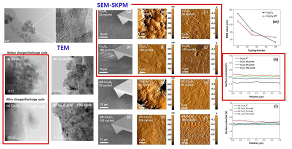 SKPM의 surface potential 측정 자료와 TEM, SEM 이미지와 특성 분석 비교 자료