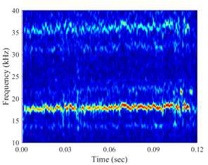 STFT results of circular RDE at low mass flow rate