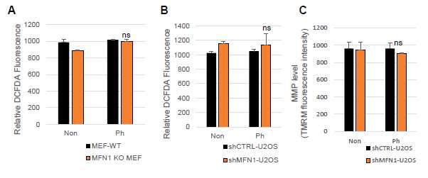 Reduction of DNA damage signaling caused by the fragmented mitochondria independent mitochondrial function