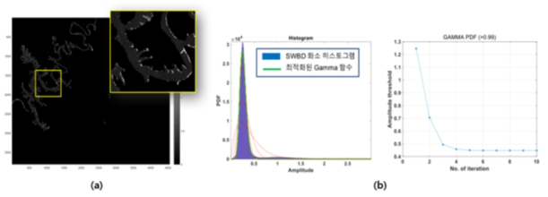 (a) 추출된 SWBD 지역 화소, (b) 수체 화소 Gamma 함수 모델링