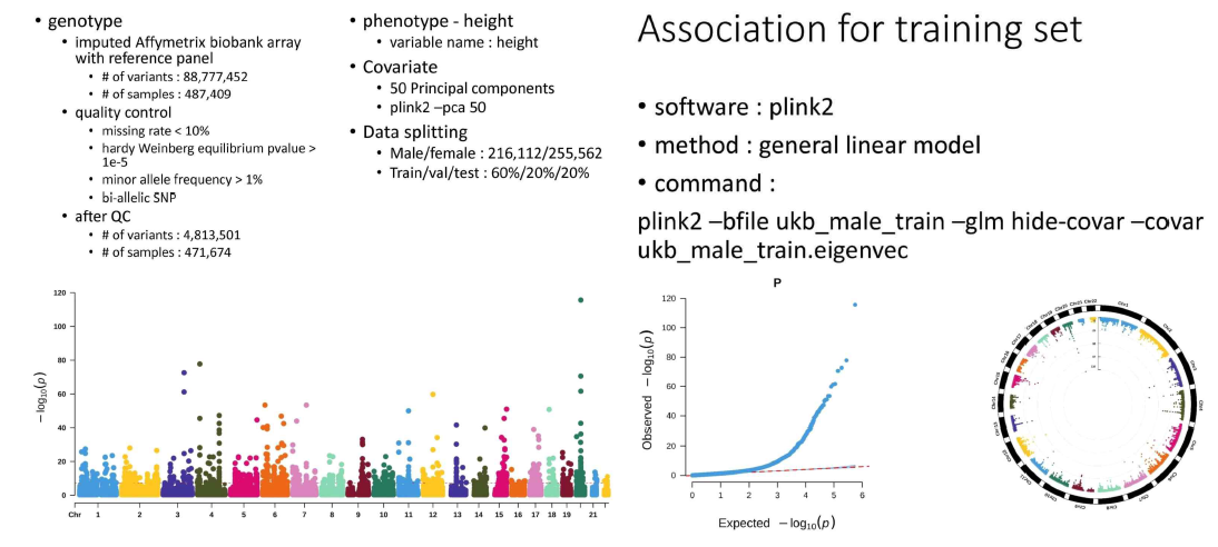 분석방법, GWAS 결과 및 qq-plot (UKBB)