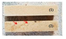 승온속도에 따른 소성 시험편 형상 : (1) 상온 ~ 1000 ℃(10 ℃/min)/1000 ~ 1400 ℃(5 ℃/min) 및 (2) 상온 ~ 1400 ℃(10 ℃/min)