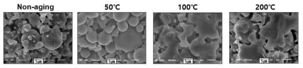 무기 바인더를 코팅한 출발입자를 적용하여 제작한 시험편의 Aging 온도에 따른 소성체의 파단면 미세구조