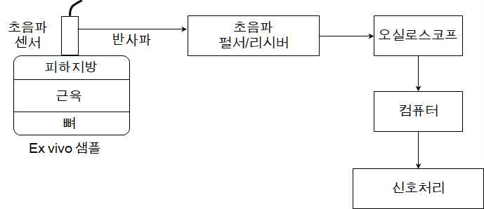 초음파 측정 장치 모식도