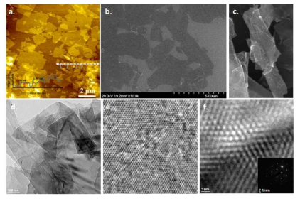 산화/박리된 그래핀의 (a) AFM 사진, (b,c) SEM 사진, (d,e,f) TEM 사진