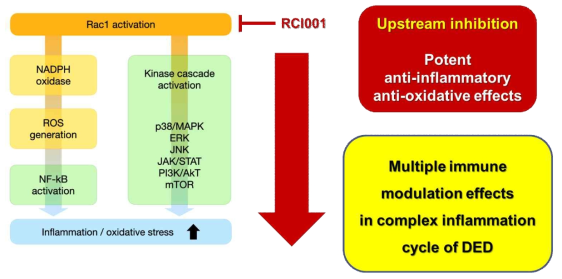 Dong Hyun Kim et al., 2021, 재가공