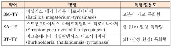 본 연구팀에서 기술 보유중인 대표적 티로시나아제 효소 (선행연구 참조)