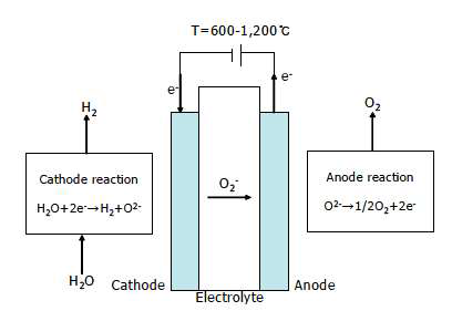 Schematic diagram of high temperature electrolytic unit cell