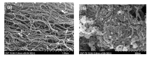 FE-SEM images of (a) CNT and (b) TiO2/CNT photocatalysts