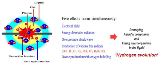 Effects by liquid phase plasma irradiation