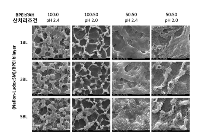 2층 구조 다층박막의 표면모폴로지. 하부층: (BPEI/PAH)/PAA 다층박막, 상부층 : (Nafion-Ludox SM)/BPEI 다층박막