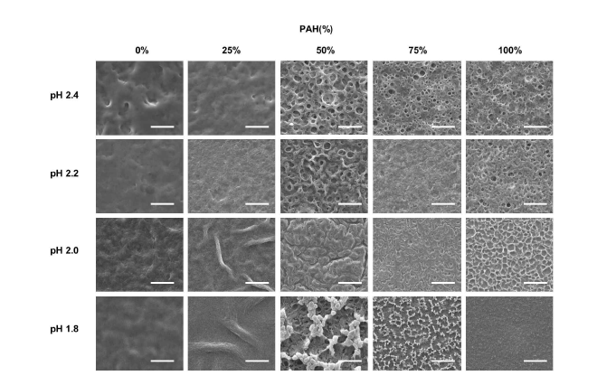 PAH (%)와 산처리 pH에 따른 다층박막 표면의 SEM 사진[18]