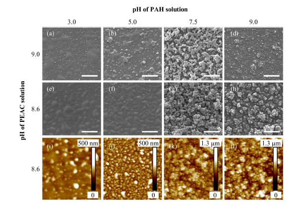 PEAC 용액과 PAH 용액의 pH에 따른 다층박막의 SEM과 AFM 사진. 첫 번째 두 번째 행의 사 진은 SEM 사진이며, 세 번째 행은 AFM 사진이다[19]