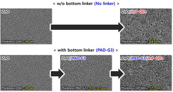PAD-G3 도입에 따른 표면 형상 및 두께 분석