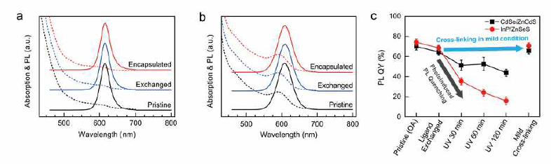 리간드 치환 및 encapsulation 시의 광 성능 평가