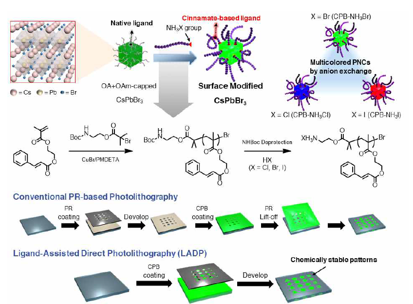 페로브스카이트 나노입자의 광패터닝을 위한 기능성 고분자 리간드 및 패터닝 모식도