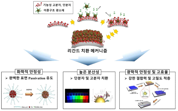 리간드 치환을 통한 광학특성 조절 및 안정화 기술 개발 연구방향 및 개요