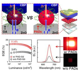 양자점 전계발광소자의 전하균형 향상 모식도와 소자효율, 전계 발광 그래프